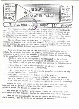 Informe Revolucionario, año 3, número 28